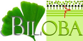 BILOBA